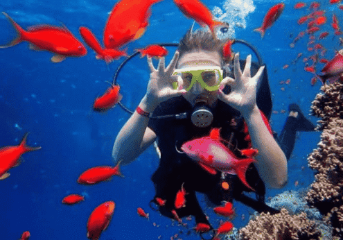 Diving intro