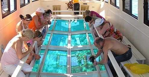 Glass Bottom Boat
