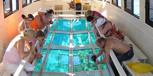 Glass Bottom Boat