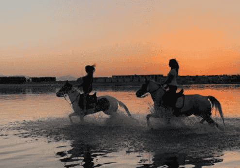 Horse riding 2 hours