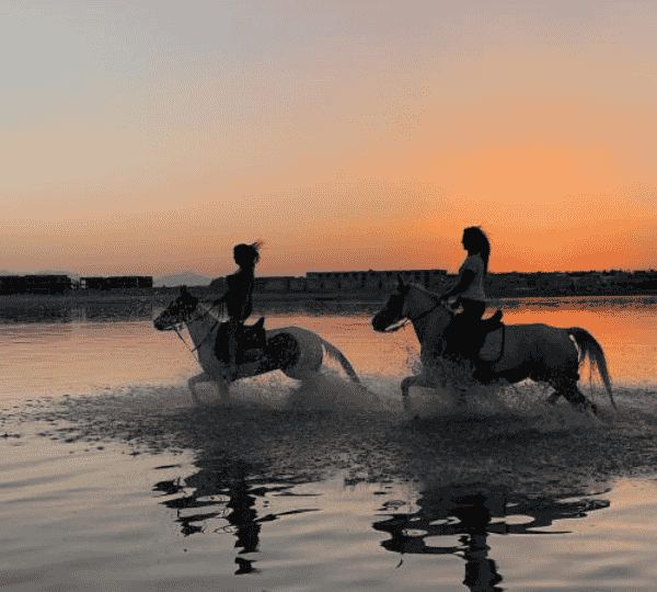 Horse riding 2 hours