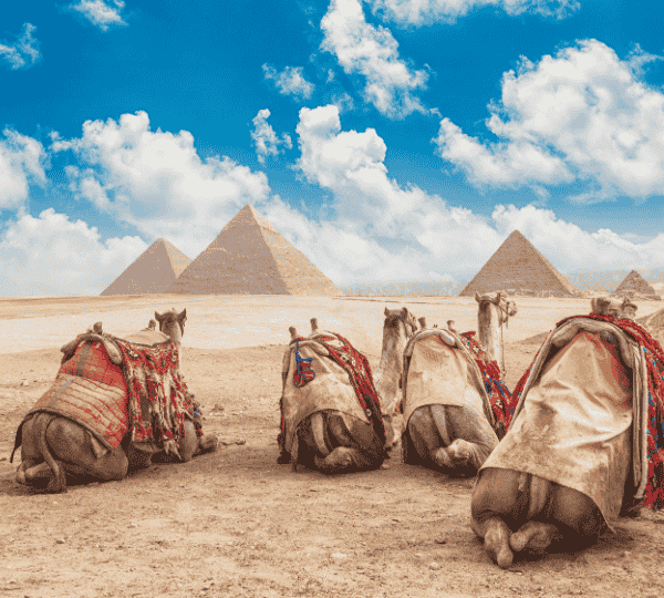 Cairo