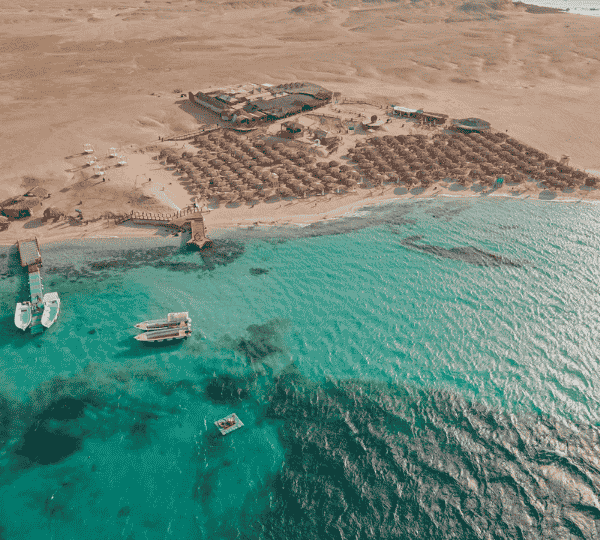 Paradise island
